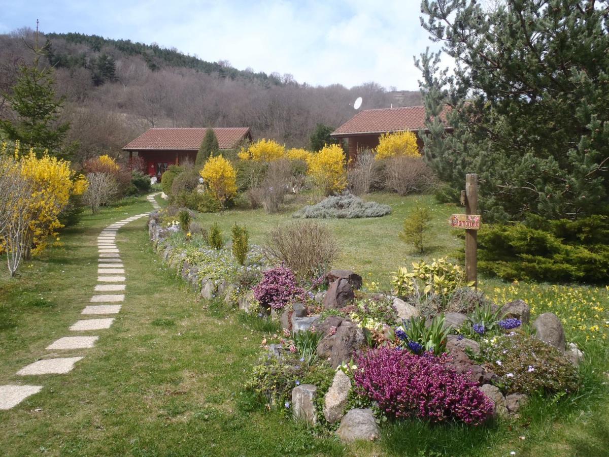 Les Chalets De La Vigne Grande Saint-Floret エクステリア 写真